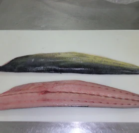 MahiMahi Fillet Skin On