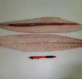 MahiMahi Fillet Skin Off