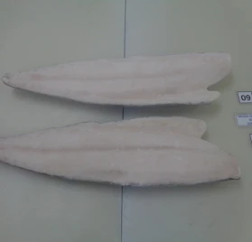 Oilfish Fillet Skin On