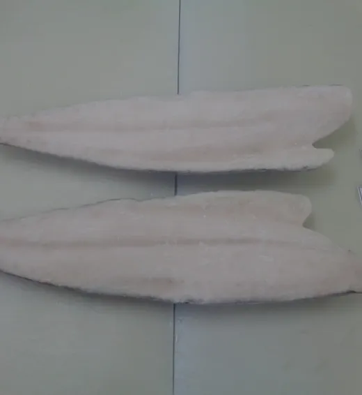 OilFish Oilfish Fillet Skin On 1 dsc08113_resize