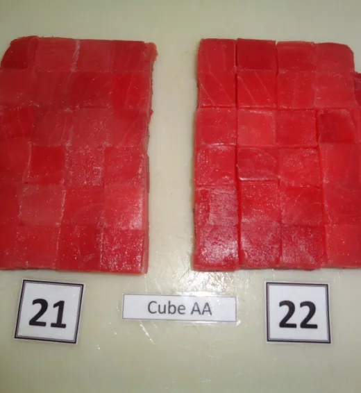 Tuna Tuna Cube 1 tuna_cube_03