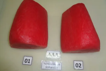 Tuna Loins